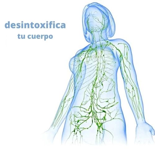 RODILLERA MOLDEADORA DE ACUPRESIÓN CON TURMALINA Y AUTOCALENTAMIENTO  "BOUDHA